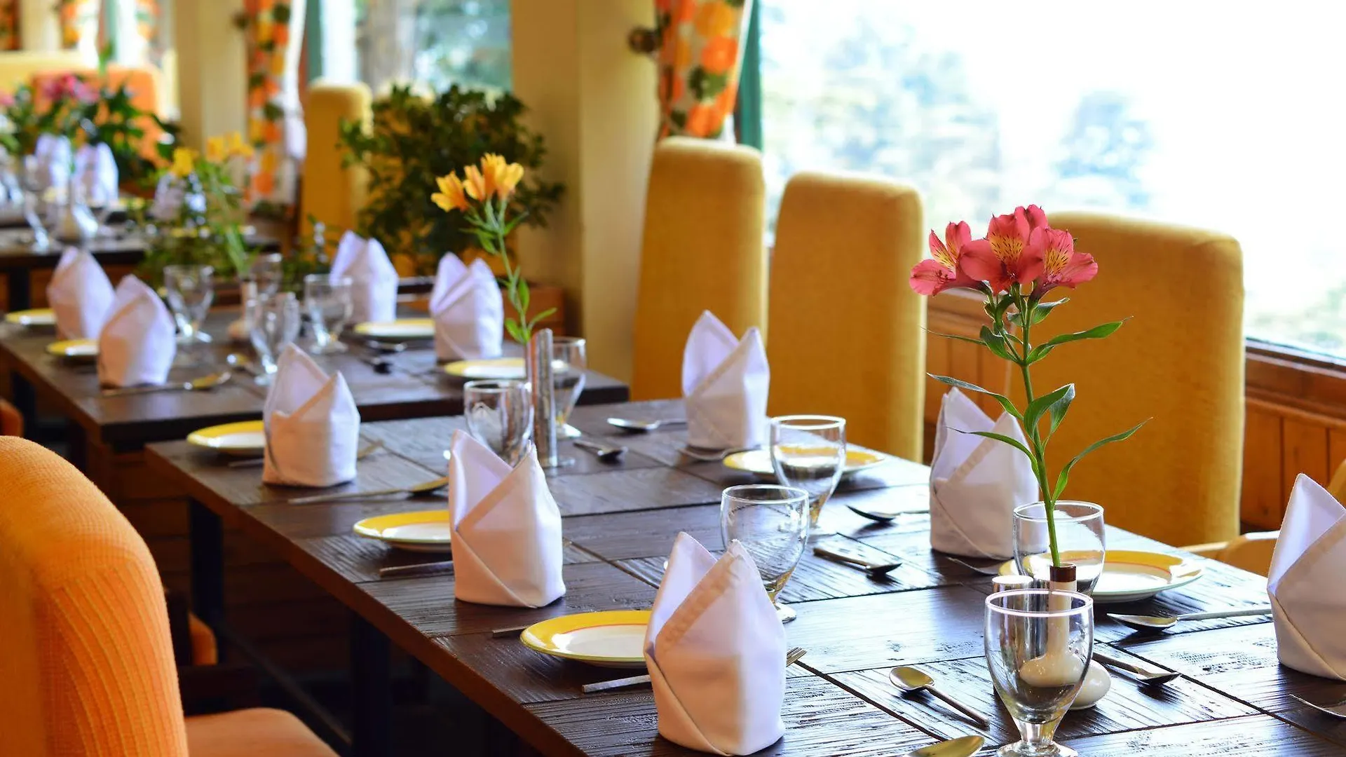 Honeymoon Inn Shimla